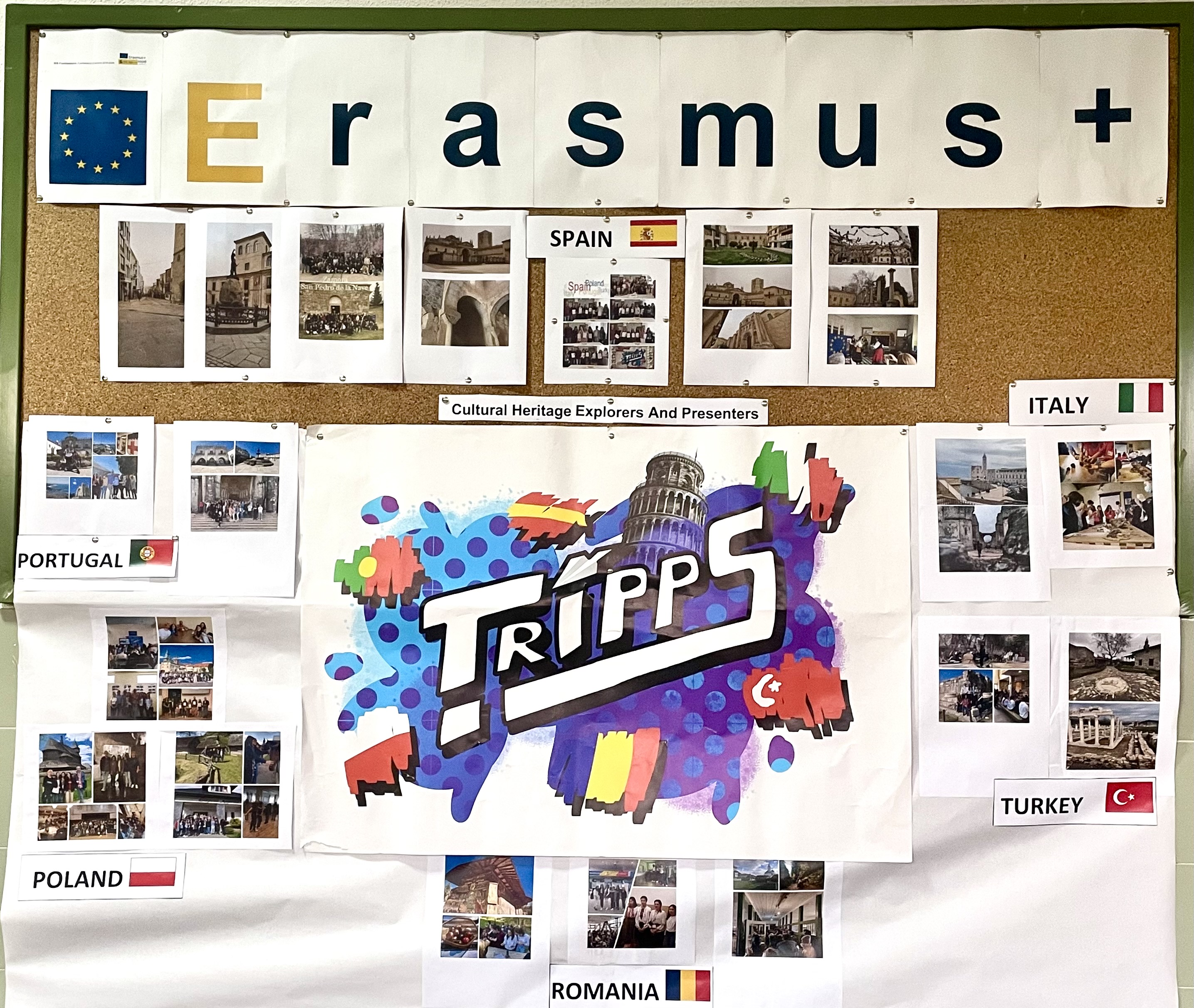 Erasmus corner-TRIPPS