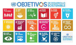 Qué son los ODS y por qué debes conocerlos - EKOMODO